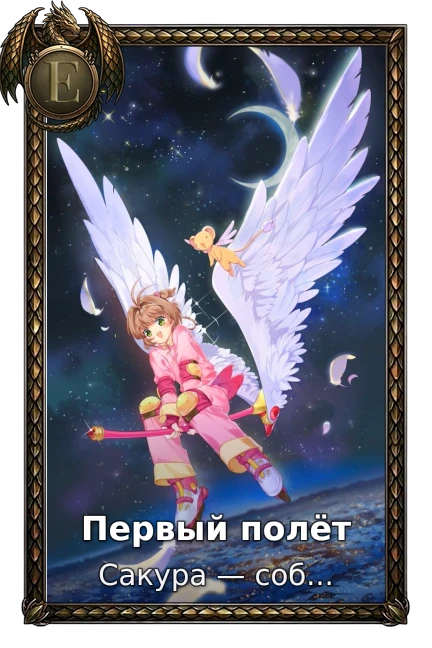 Первый полёт